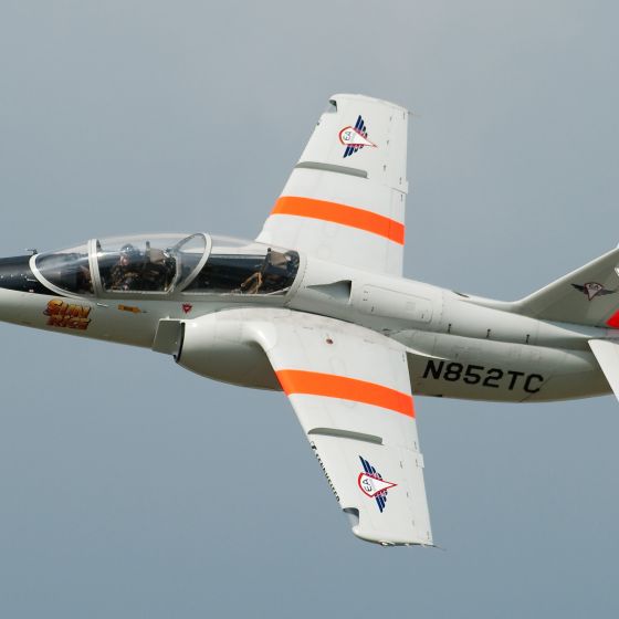 Aermacchi S-211 Jet Flight in Germany