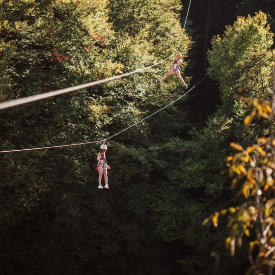 Zipline Bienenflug in Malečnik