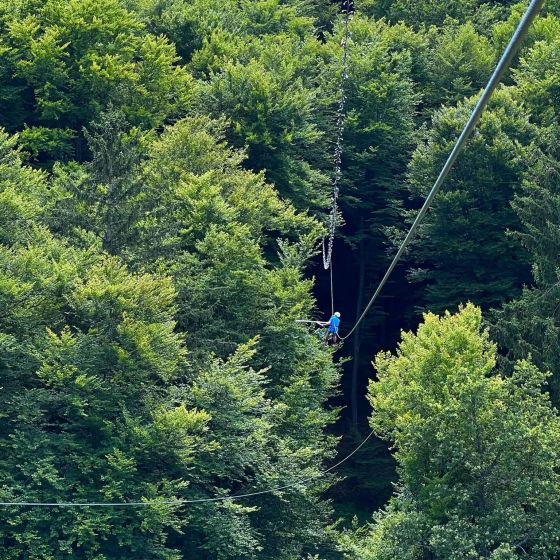 Zipline Bienenflug in Malečnik